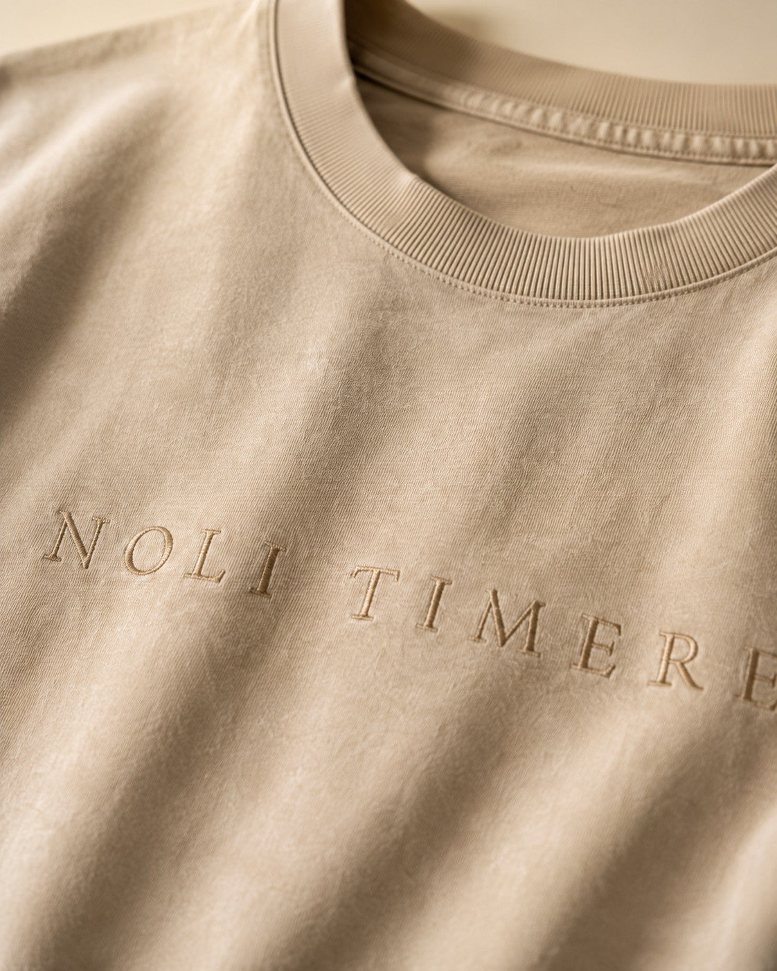 Polera Lavada 280 gr · Beige - detalle del 365