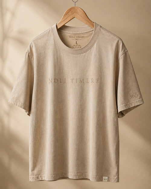 Polera Lavada 280 gr · Beige - frente colgada