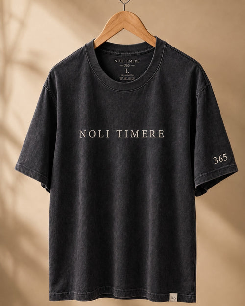 Polera Lavada 280 gr · Negra - frente colgada