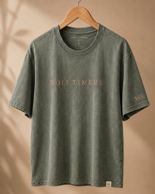 Polera Lavada 280 gr · Verde - frente colgada