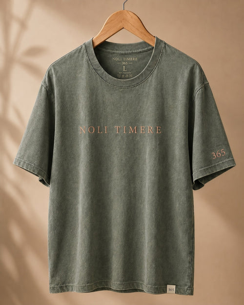 Polera Lavada 280 gr · Verde - frente colgada